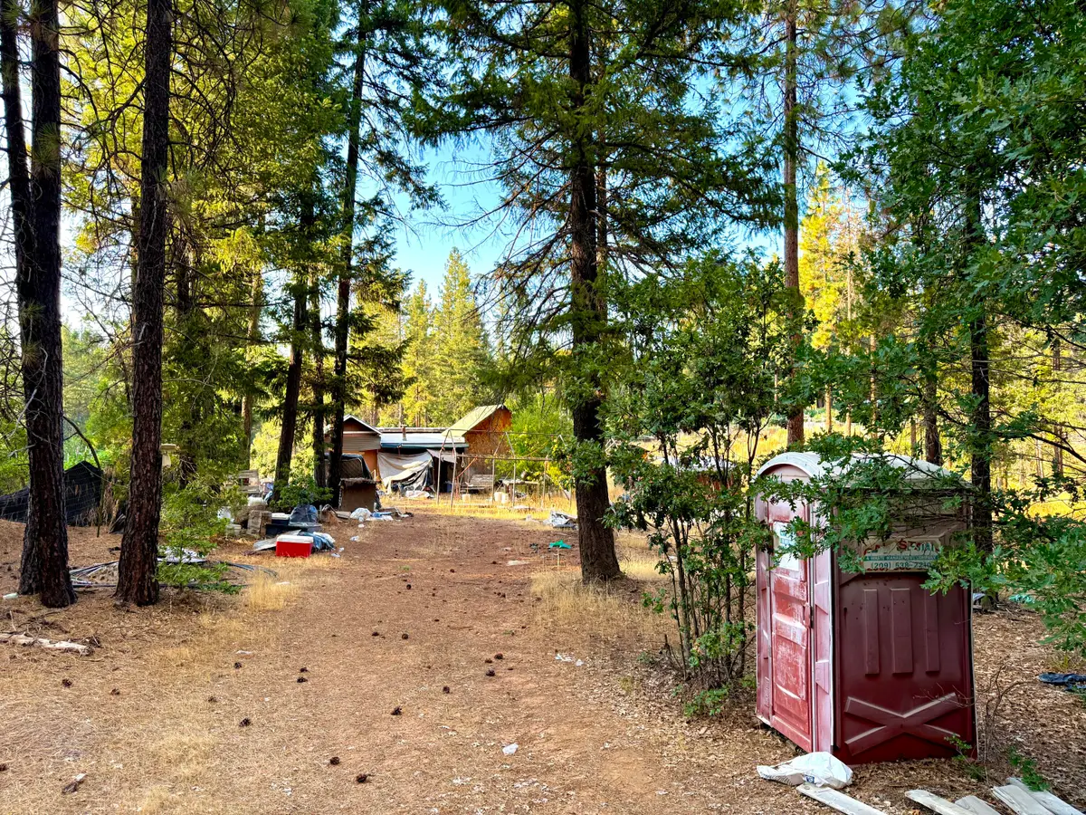 831 Pine Forest Drive, Hayfork, CA 96041 - #1