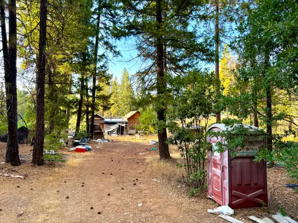 831 Pine Forest Drive, Hayfork, CA 96041