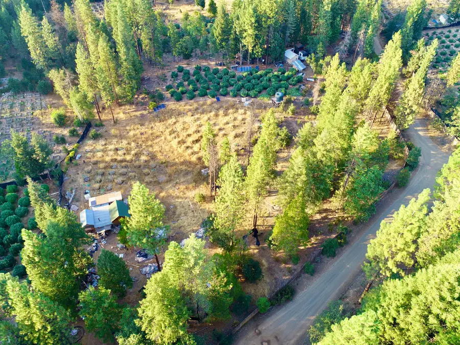 831 Pine Forest Drive, Hayfork, CA 96041 - #2