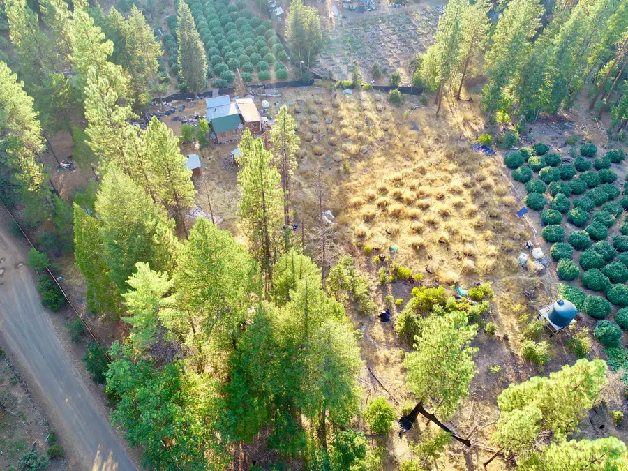 831 Pine Forest Drive, Hayfork, CA 96041 - #3