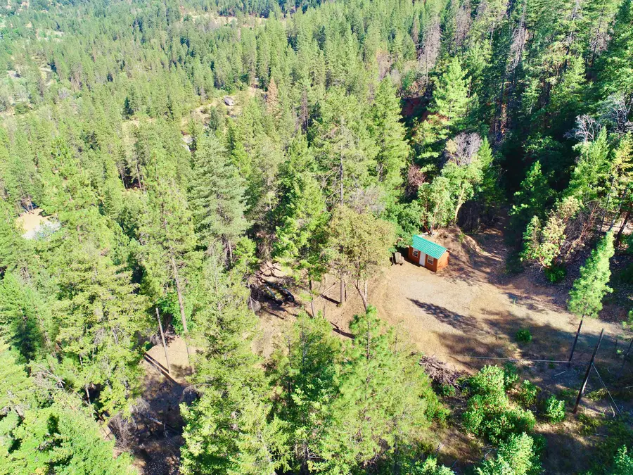 3380 Dutch Creek Road, Junction City, CA 96048 - #2