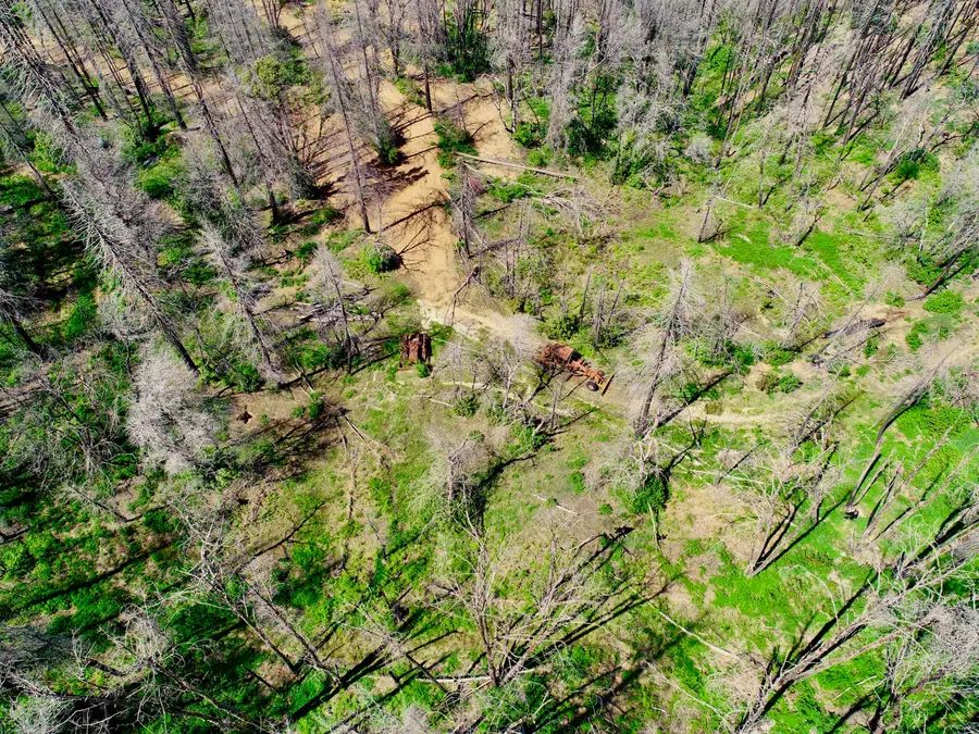0 Hayfork Summit Road, Hayfork, CA 96041 - #2
