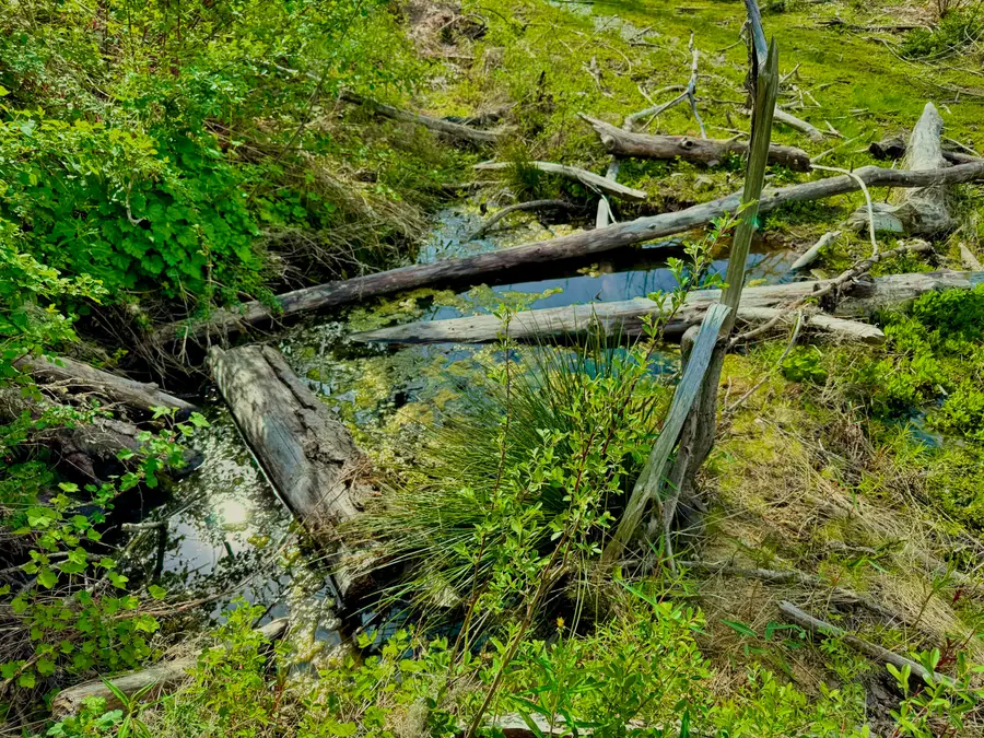 0 Hayfork Summit Road, Hayfork, CA 96041 - #3