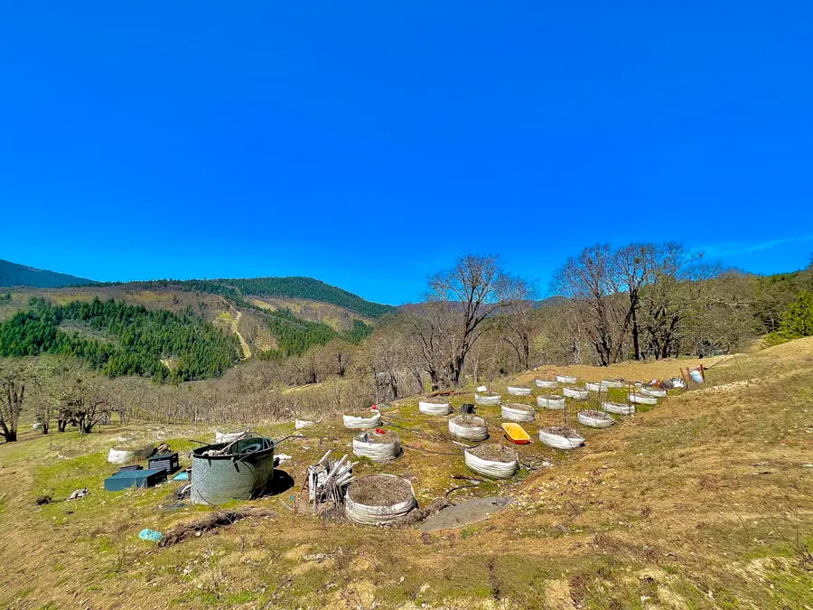 1786 County Line Creek Road, Mad River, CA 95526 - #2