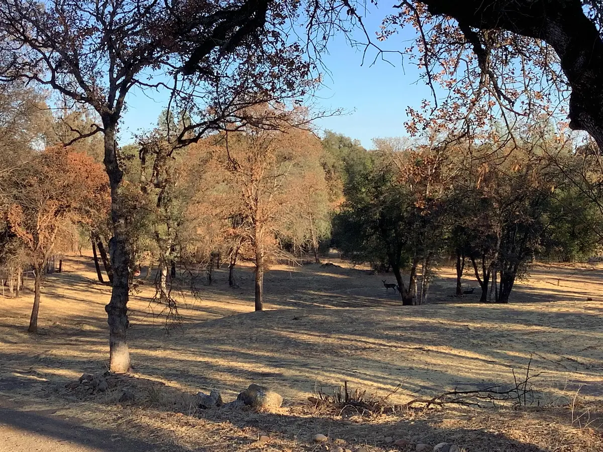 20874 Boyle Road, Redding, CA 96003 - #1