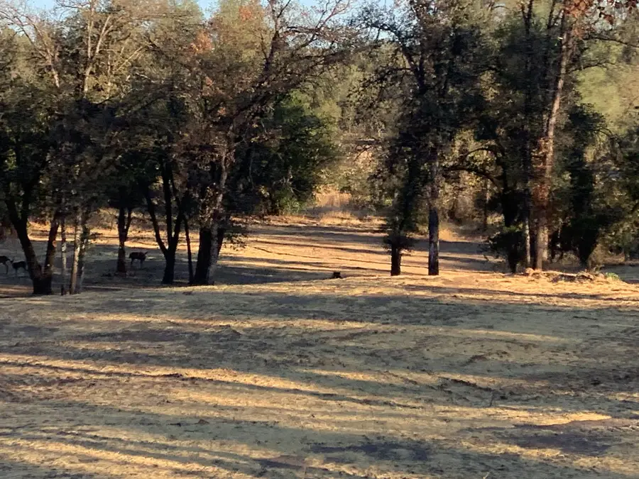 20874 Boyle Road, Redding, CA 96003 - #3
