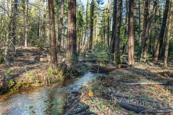 Montgomery Road, Shingletown, CA 96088