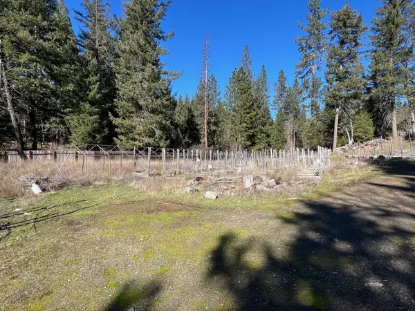 740 Trinity Pines Drive, Hayfork, CA 96041