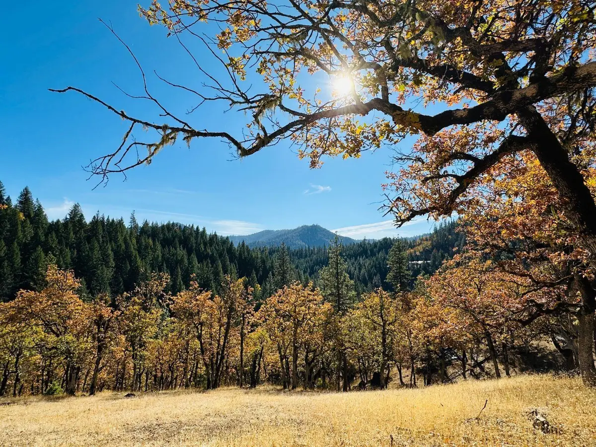 85 Devils Gulch Road, Hayfork, CA 96041 - #1