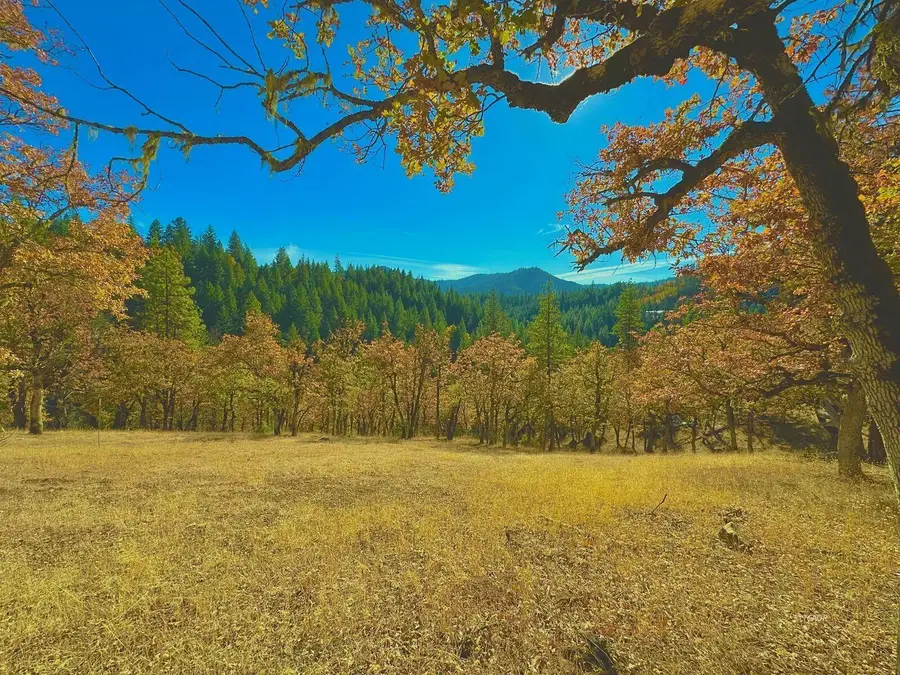 85 Devils Gulch Road, Hayfork, CA 96041 - #2