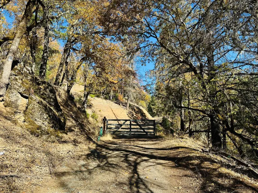 85 Devils Gulch Road, Hayfork, CA 96041 - #3