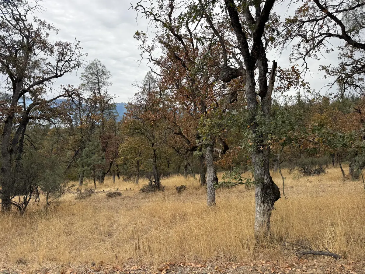 521 Ransom Road, Weaverville, CA 96093 - #1