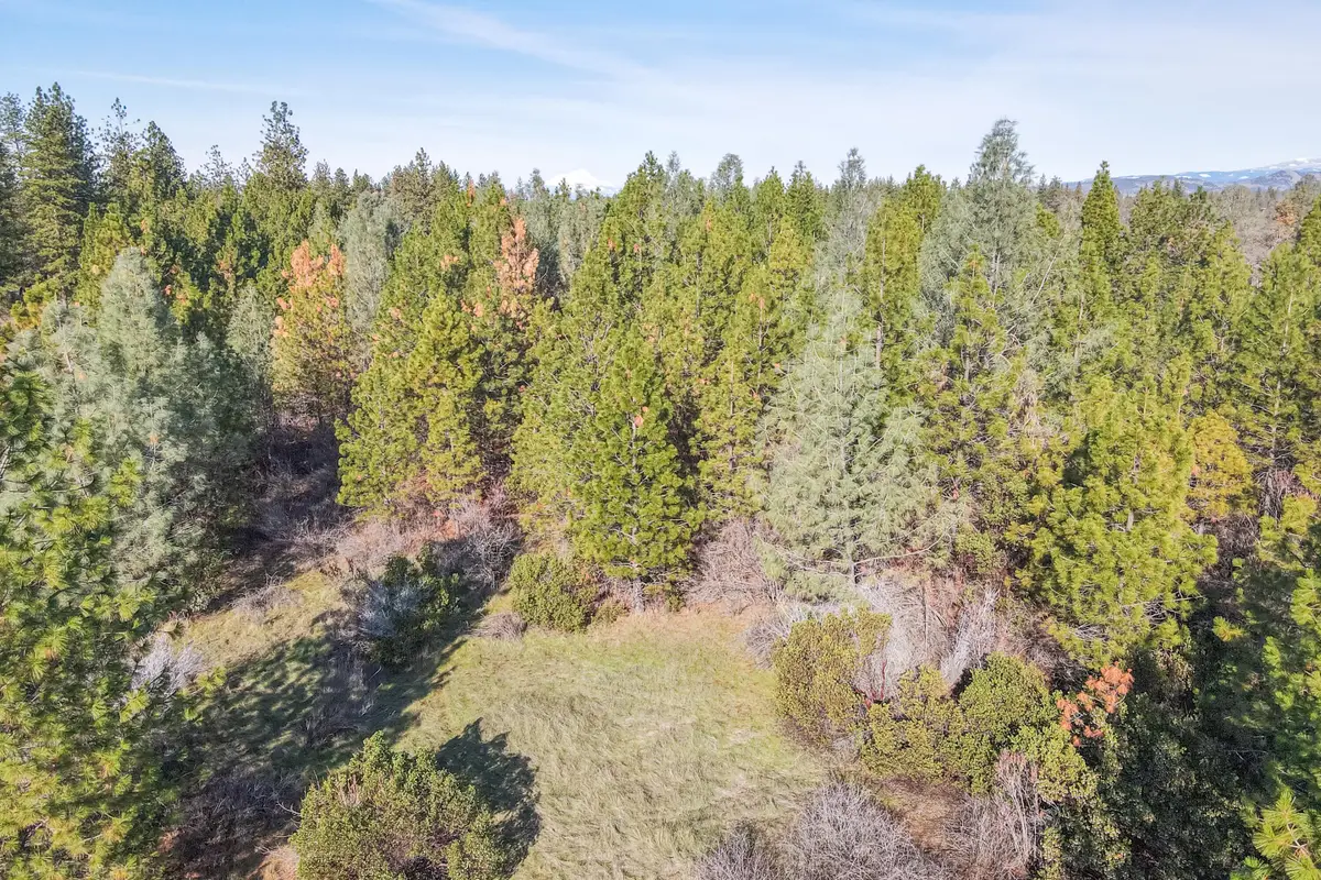 Lot 9 Moraine Way, Shingletown, CA 96088 - #1