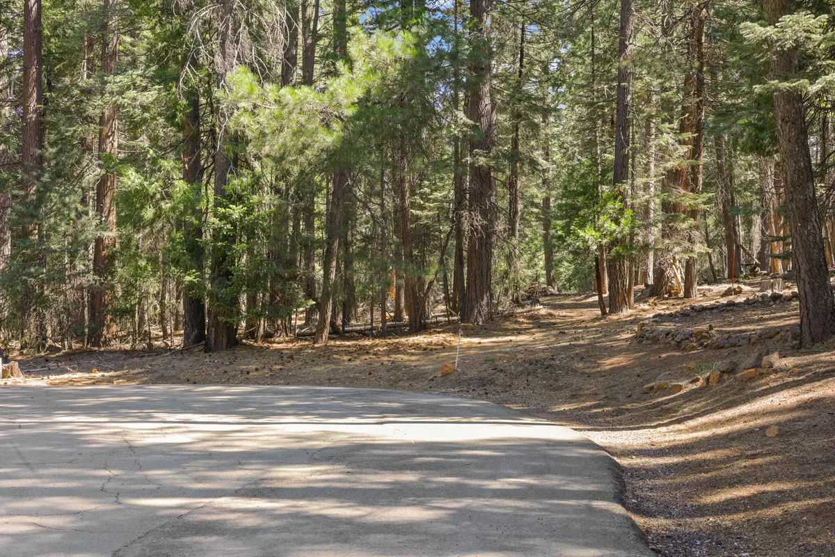 Ezra Lane, Shingletown, CA 96088 - #1