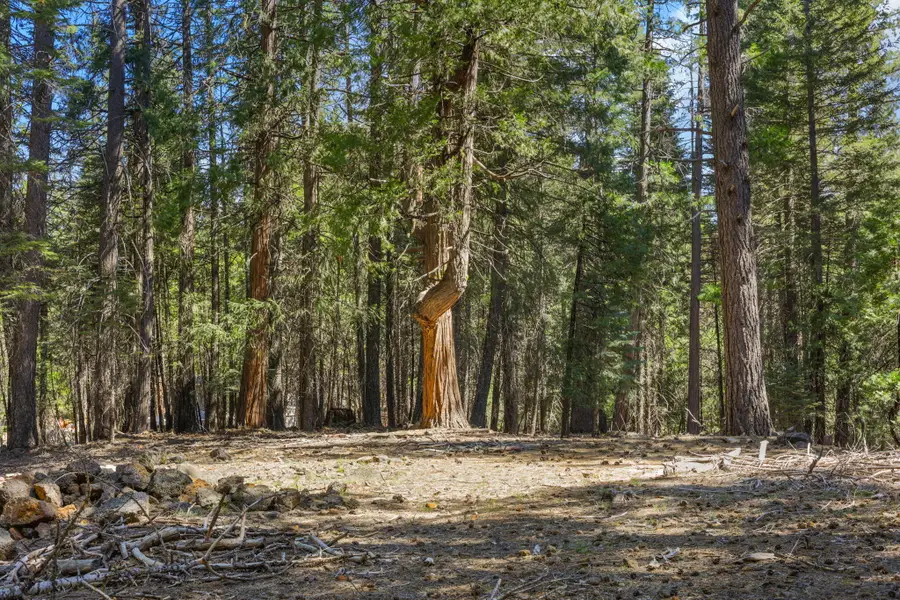 Ezra Lane, Shingletown, CA 96088 - #2