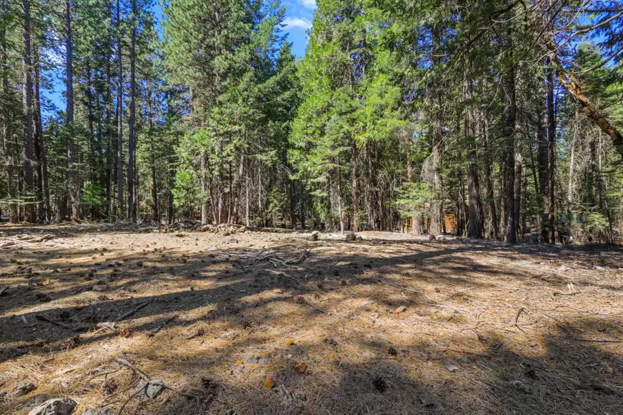 Ezra Lane, Shingletown, CA 96088 - #3