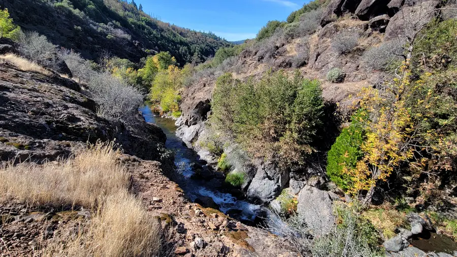 000 Old Montgomery Creek Road, Montgomery Creek, CA 96065 - #2