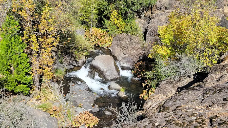 000 Old Montgomery Creek Road, Montgomery Creek, CA 96065 - #3