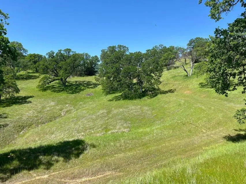 Deer Crest Trail, Cottonwood, CA 96022 - #1