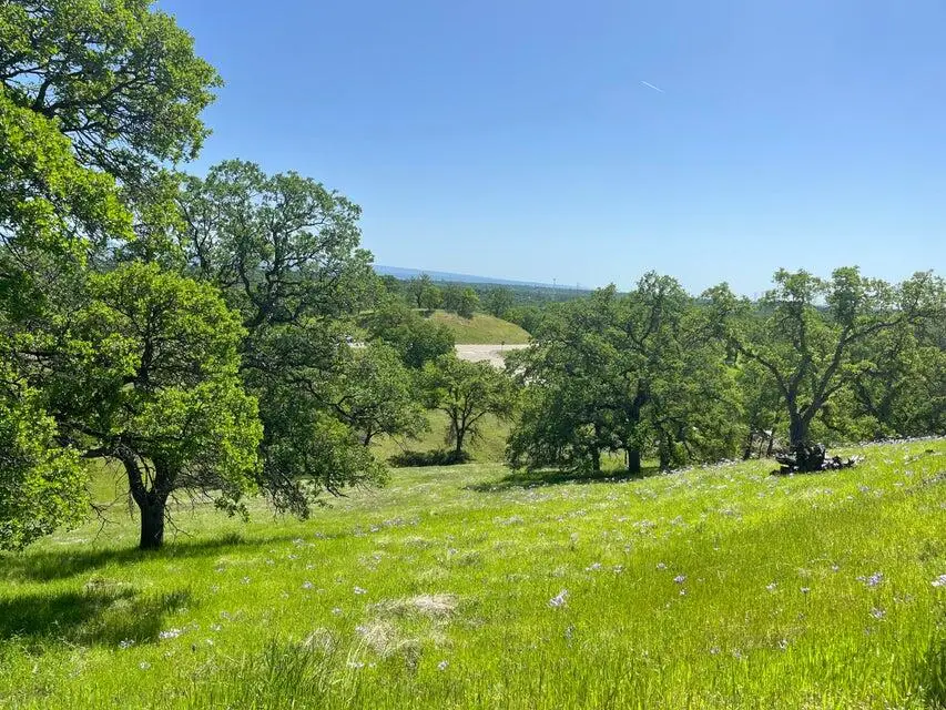 Deer Crest Trail, Cottonwood, CA 96022 - #3