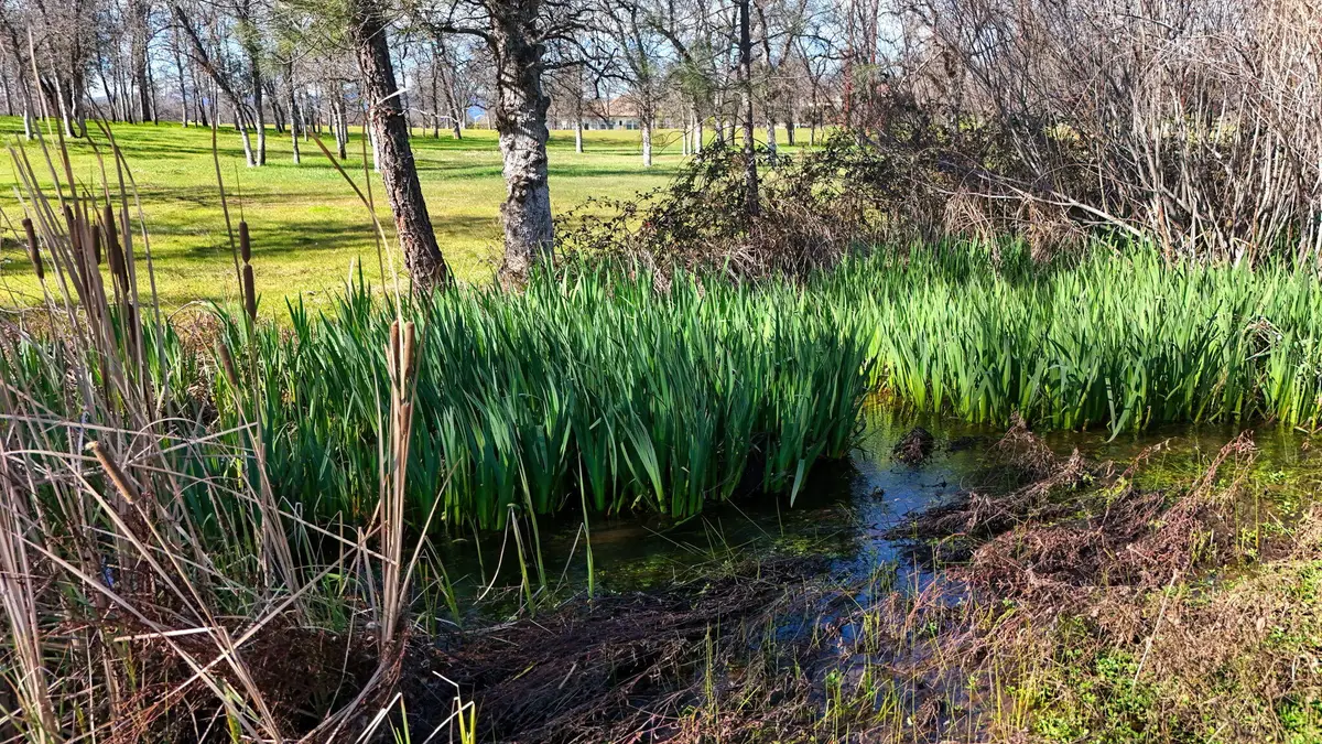 13231 Alicia Parkway, Redding, CA 96003 - #1