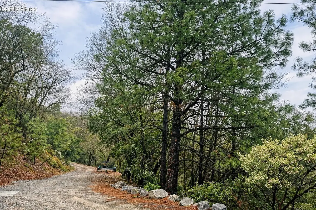 00 Pumice Street, Lakehead, CA 96051 - #1