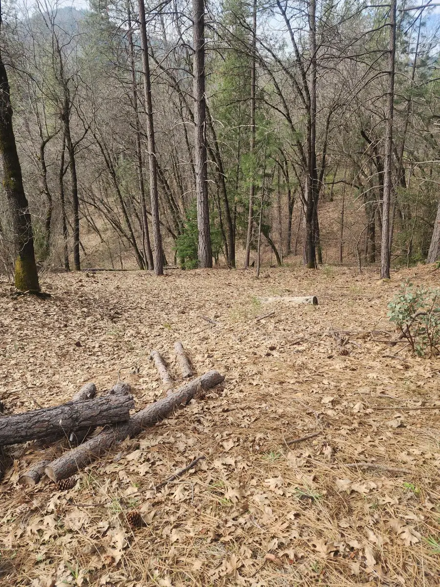 Lot 34 Doney Street, Lakehead, CA 96051 - #3