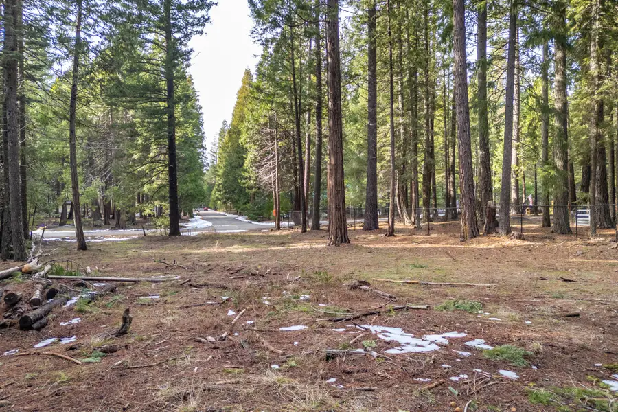 Thatcher Mill Road, Shingletown, CA 96088 - #3