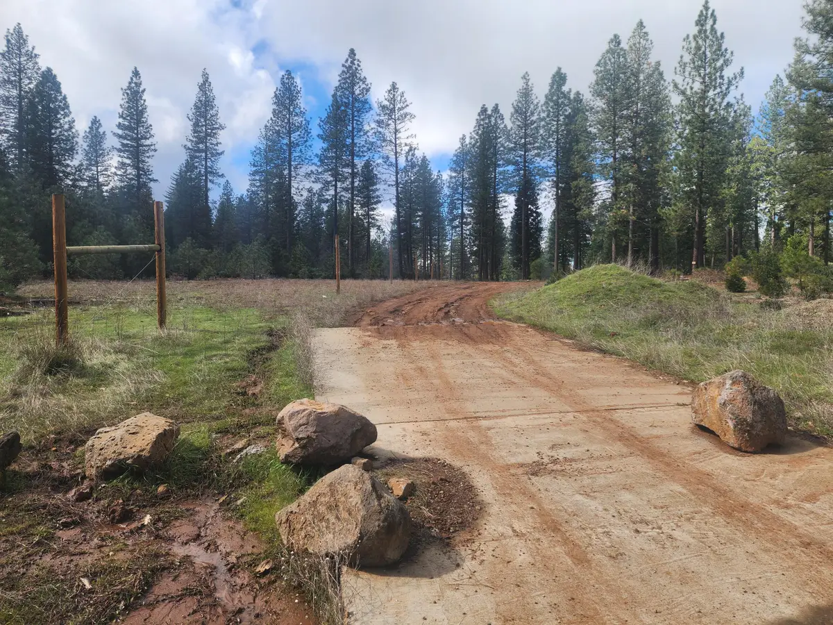 Waterleaf Lane, Shingletown, CA 96088 - #1