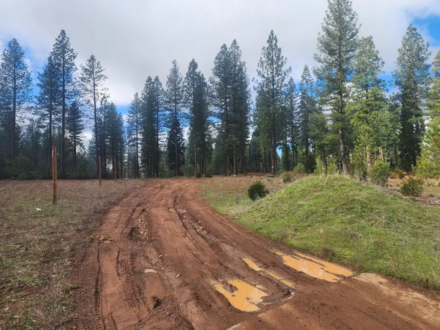 Waterleaf Lane, Shingletown, CA 96088 - #2