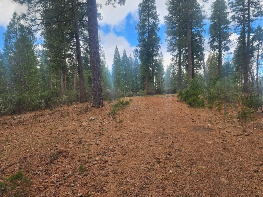 Waterleaf Lane, Shingletown, CA 96088 - #3