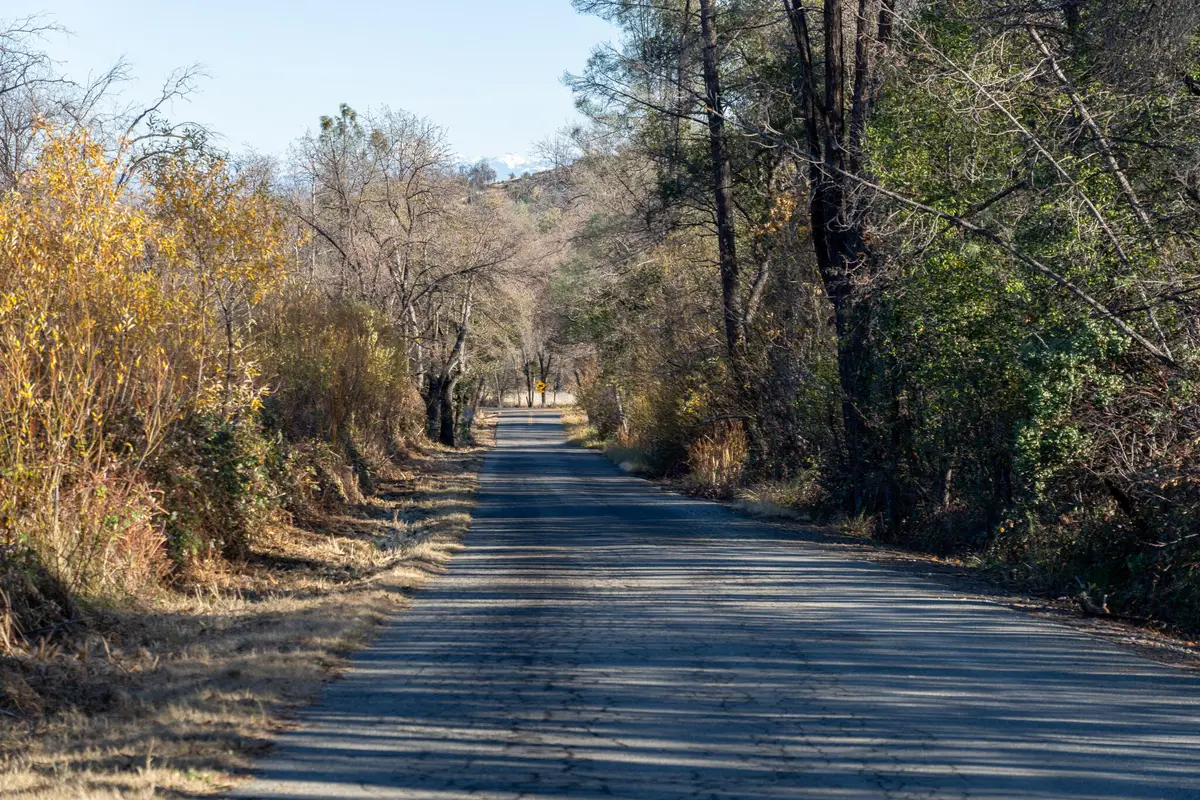 9977 Rainbow Lake Road, Igo, CA 96047 - #1