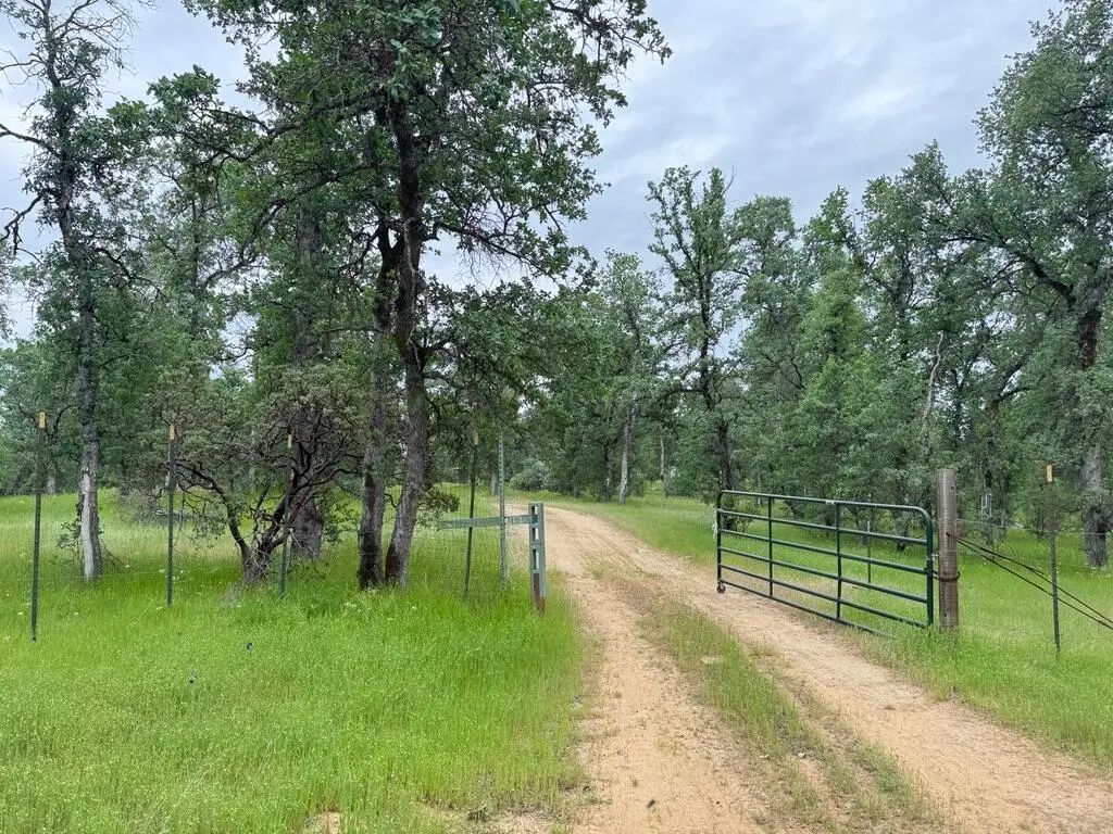 2 Two Feathers Road, Cottonwood, CA 96022 - #1