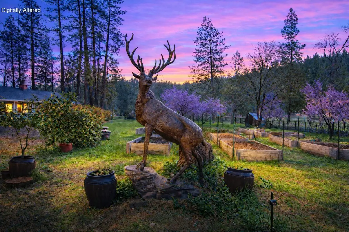 29276 Bullskin Ridge Road, Oak Run, CA 96069 - #1