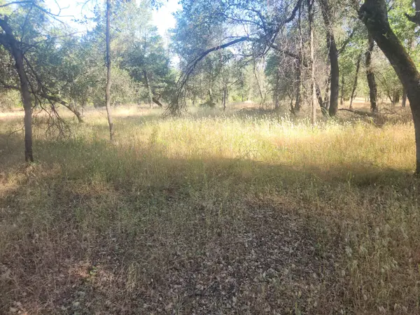 12910 Old Oregon Trail, Redding, CA 96003