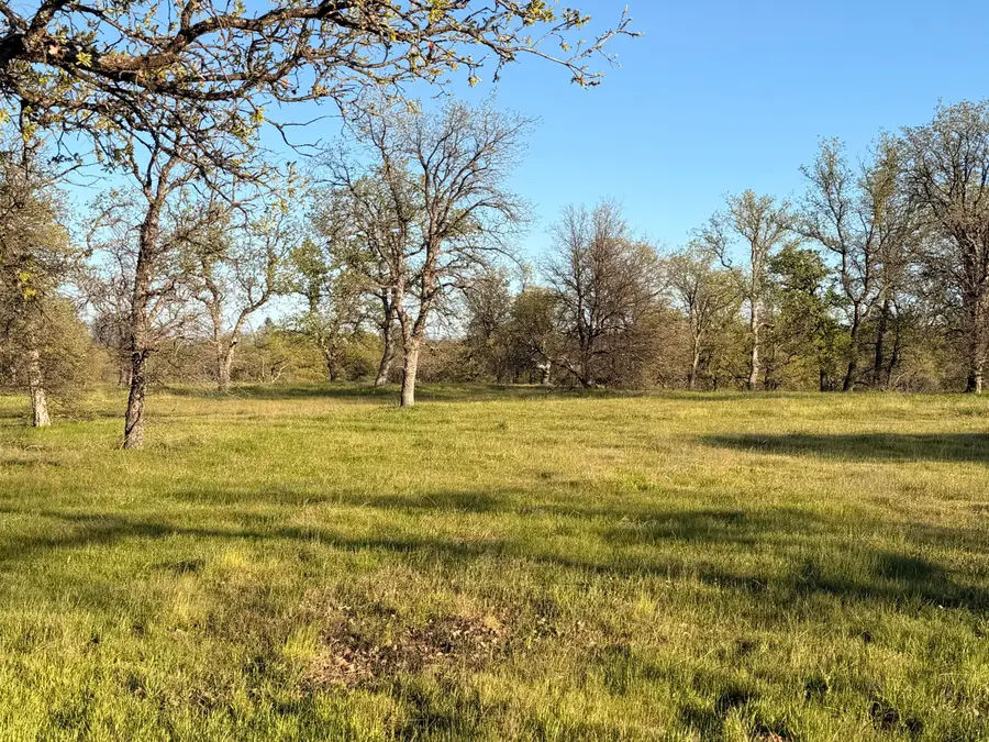 Olinda Road, Anderson, CA 96007 - #2