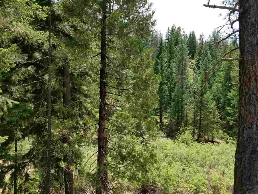 McAdams, Yreka, CA 96097 - Image #2