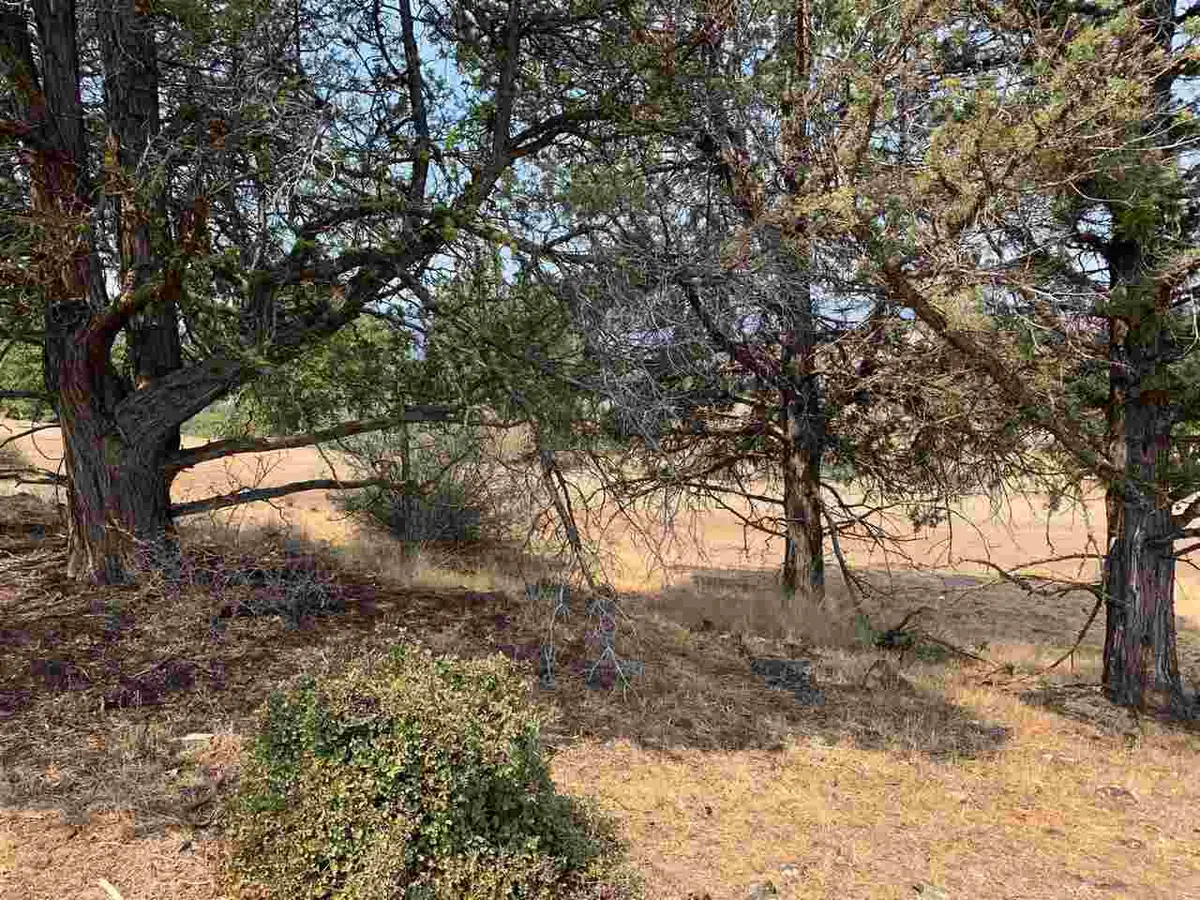 Unit 4 Lot 279 Barracuda Drive, Montague, CA 96064 - Image #1