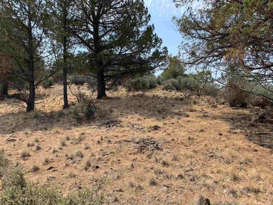 Unit 4 Lot 279 Barracuda Drive, Montague, CA 96064 - Image #2