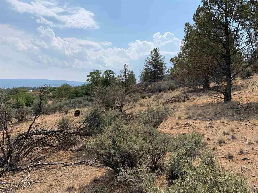 Unit 4 Lot 279 Barracuda Drive, Montague, CA 96064 - Image #3