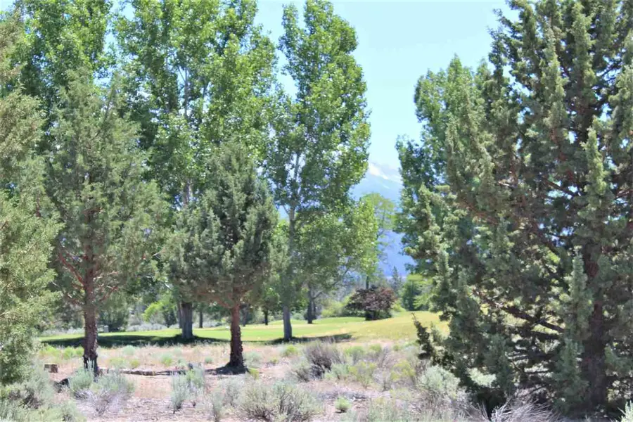 Lot 101 Lotz Ct, Weed, CA 96094 - Image #2
