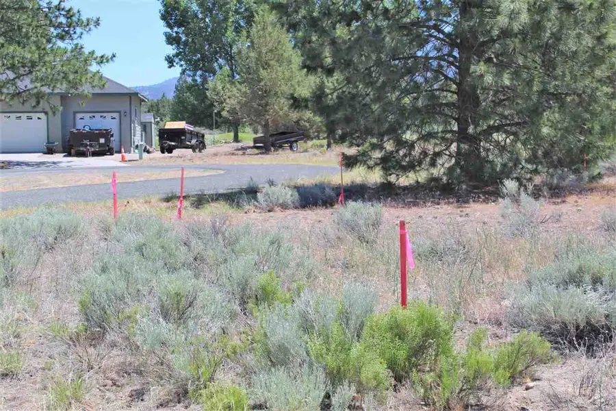 Lot 101 Lotz Ct, Weed, CA 96094 - Image #3