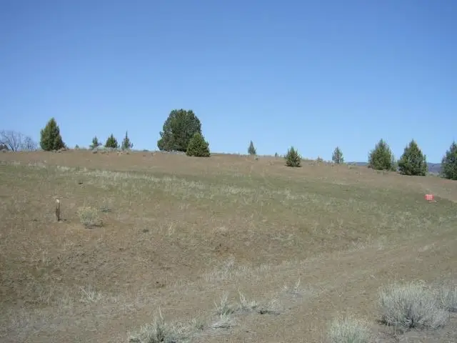 2.6 acres End of Fond Ave., Hornbrook, CA 96044 - Image #1