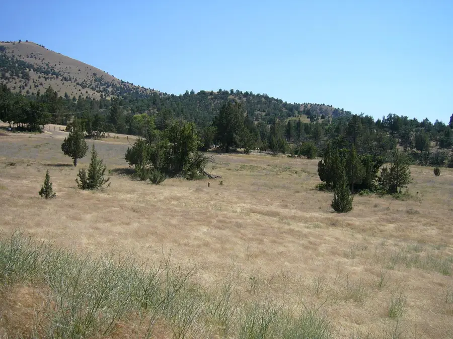 10 acres Omega Rd, Montague, CA 96064 - Image #3