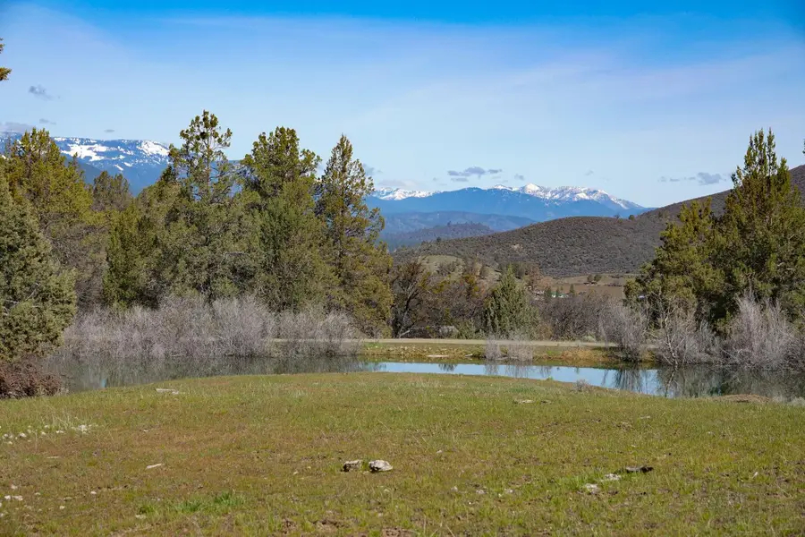 6000 E Callahan Rd, Callahan, CA 96014 - Image #2