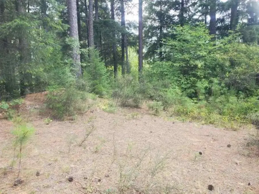 00 Timber Dr, Dunsmuir, CA 96025 - Image #3
