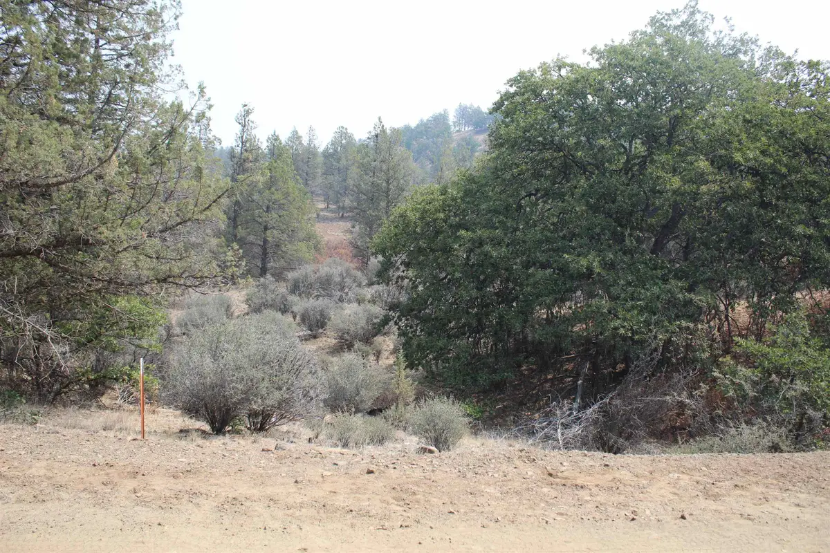 Lot 661 Clark, Hornbrook, CA 96044 - Image #1