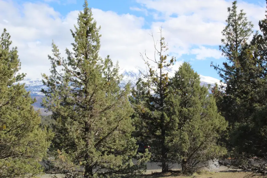 Lot 557 Lookout Ct, Weed, CA 96094 - Image #2