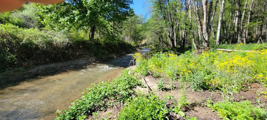 006-350-160 Humbug Crk Rd, Yreka, CA 96097 - Image #3