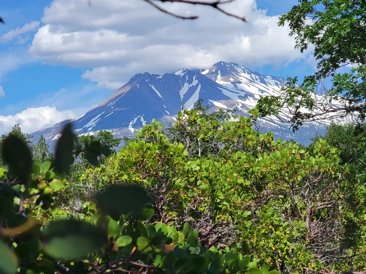 lots 10 & 11 College Avenue, Weed, CA 96094 - Image #1